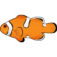 Misbar Clownfish