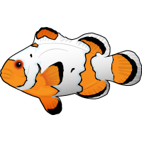 Snowflake Clownfish