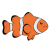 Ocellaris Clownfish
