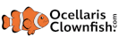 Ocellaris Clownfish