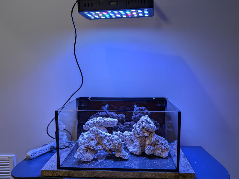 Empty clownfish tank with rock work and lights.